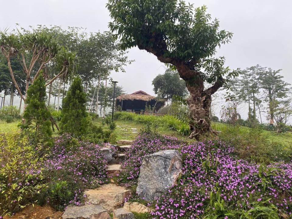 Ho Tam Homestay Hòa Bình Εξωτερικό φωτογραφία